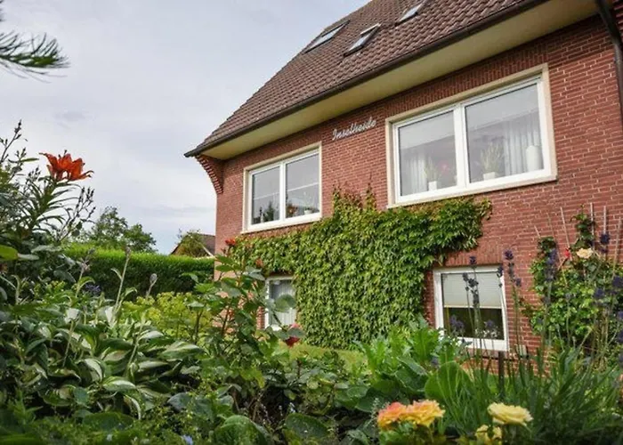 Hasenblick Im Haus Inselheide Baltrum